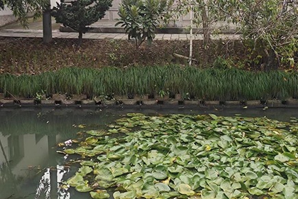 3-裝配式護岸工程展示圖  (1)